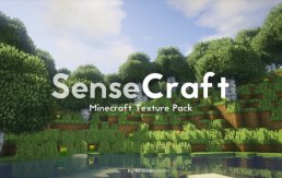 SenseCraft Kaynak Paketi (16X)
